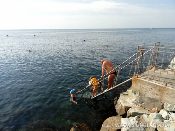Эллинги Дельфин Семейный отдых в Крыму жилье у моря Алушта