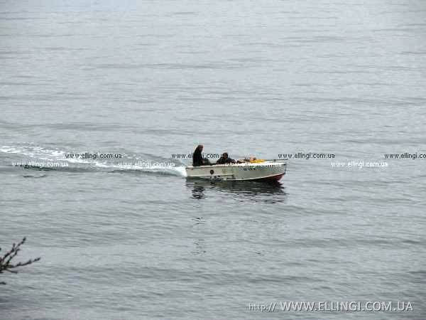 Алушта эллинг Дельфин отдых в Крыму жилье на море