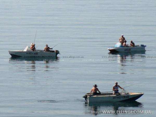 Эллинги Дельфин отдых на море в Алуште рыбалка