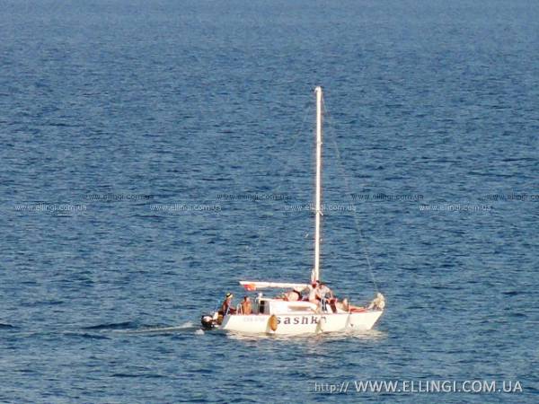 Эллинги Дельфин отдых на море Алушта на яхте морская прогулка