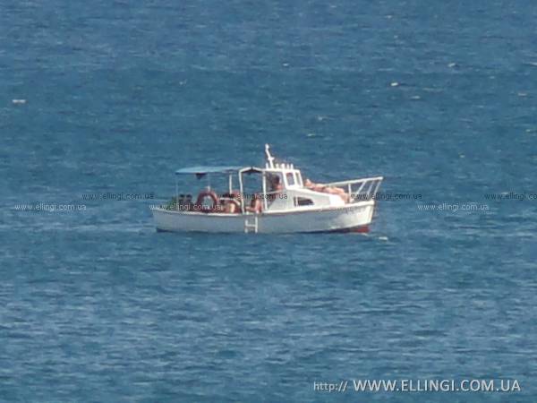 Эллинги Дельфин отдых на море Алушта на катере морская прогулка